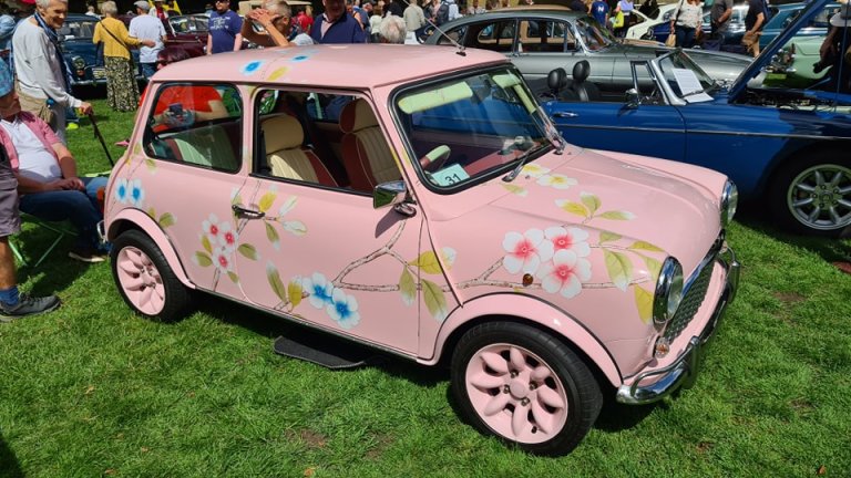 Pink-Mini.jpg