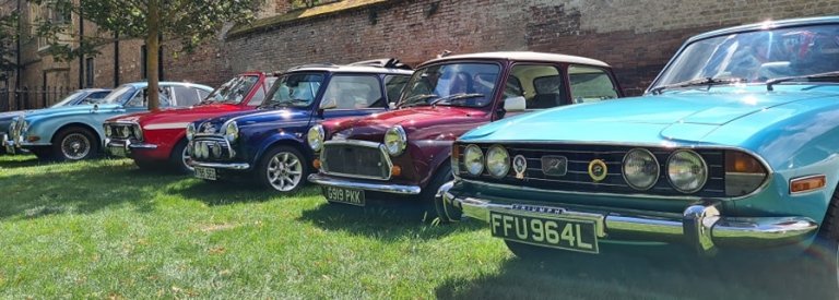 Stag-Minis-Narrow.jpg